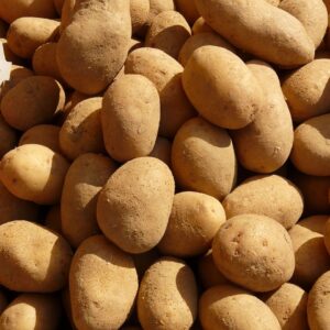 potatoes, vegetables, potato, food, ingredient, meal, market, potatoes, potatoes, potato, potato, potato, potato, potato